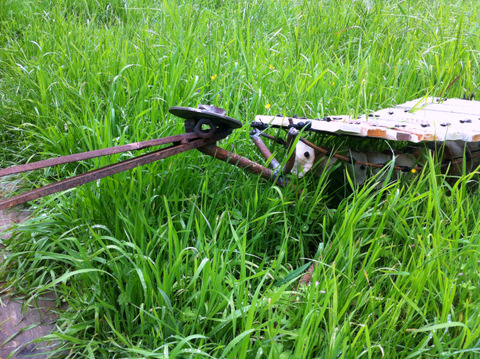 animal sculpture instrument musique de plein air ludique et thérapeutique